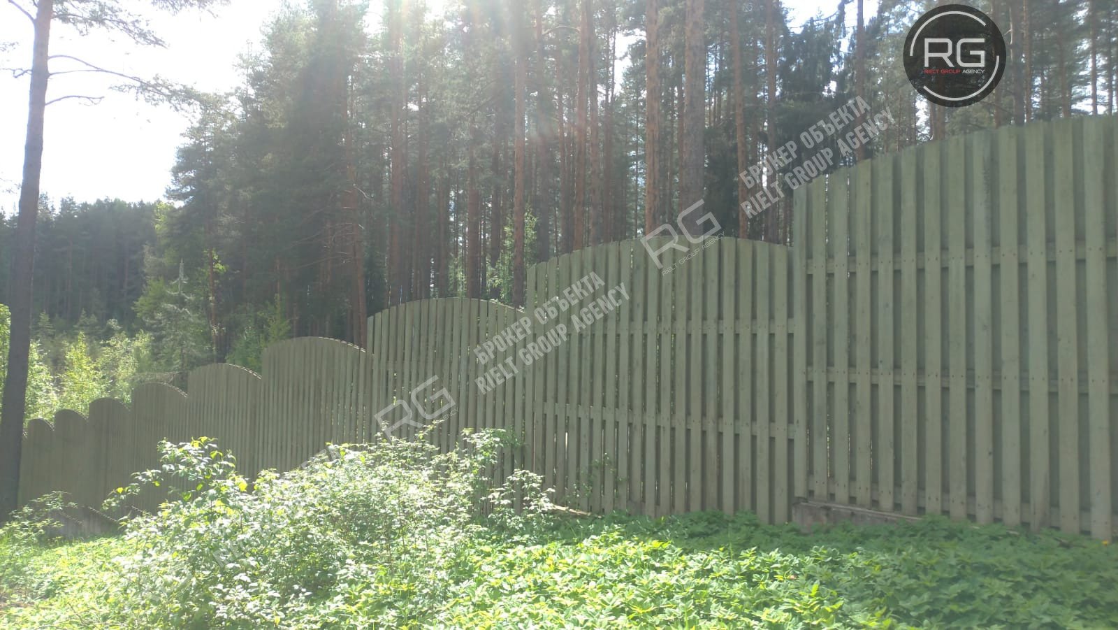   Участок с соснами, 17,5 соток, 17.5 соток 